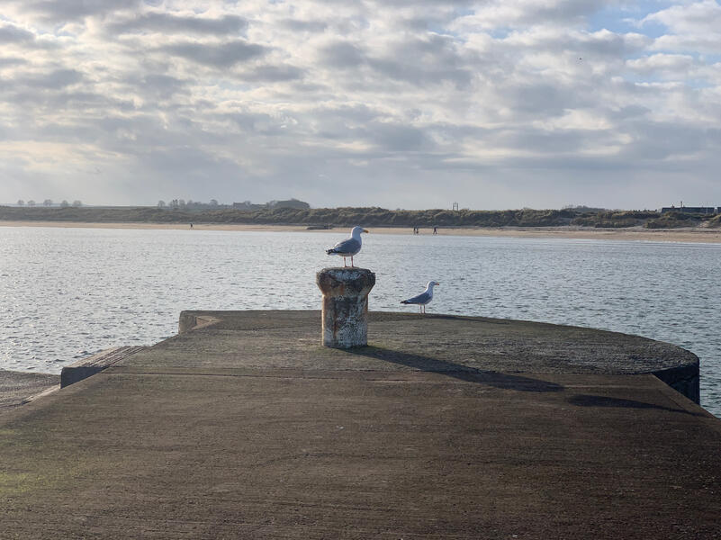 Beadnell Harbour